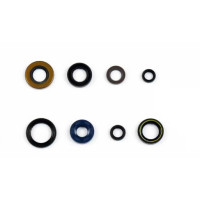 Jogo retentores motor HONDA XR R 400 1996-2004 - ATHENA